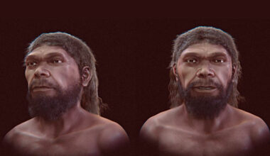 Researchers Reconstruct Face of Oldest Known Homo sapiens