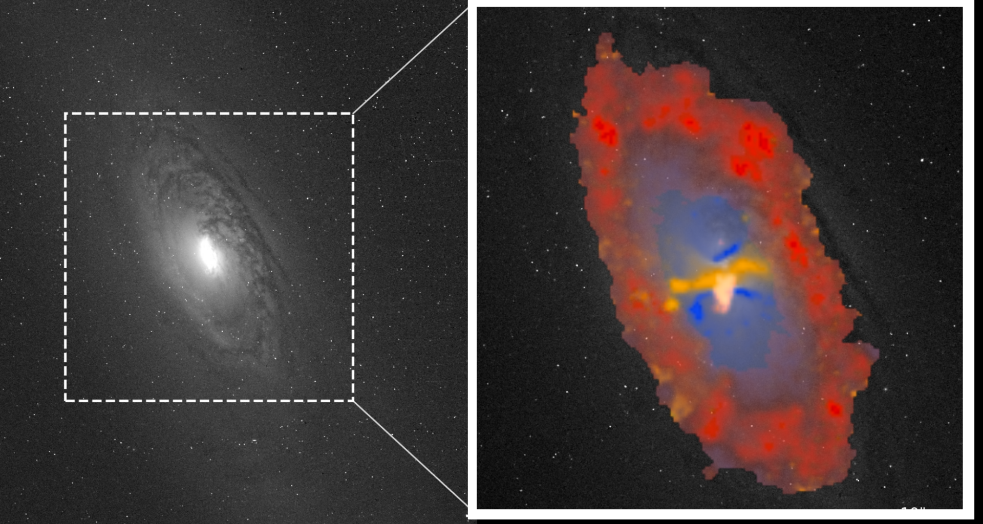 How supermassive black holes are the architects of entire galaxies