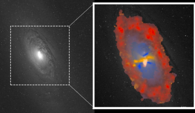 How supermassive black holes are the architects of entire galaxies