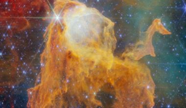 About 70 young stars sit inside one dark knot of gas in the Carina Nebula: ESA's Webb Picture of the Month for August 2026 shows the Treasure Chest globule, 7,500 light years off, lit by a 19-solar-mass O-type star