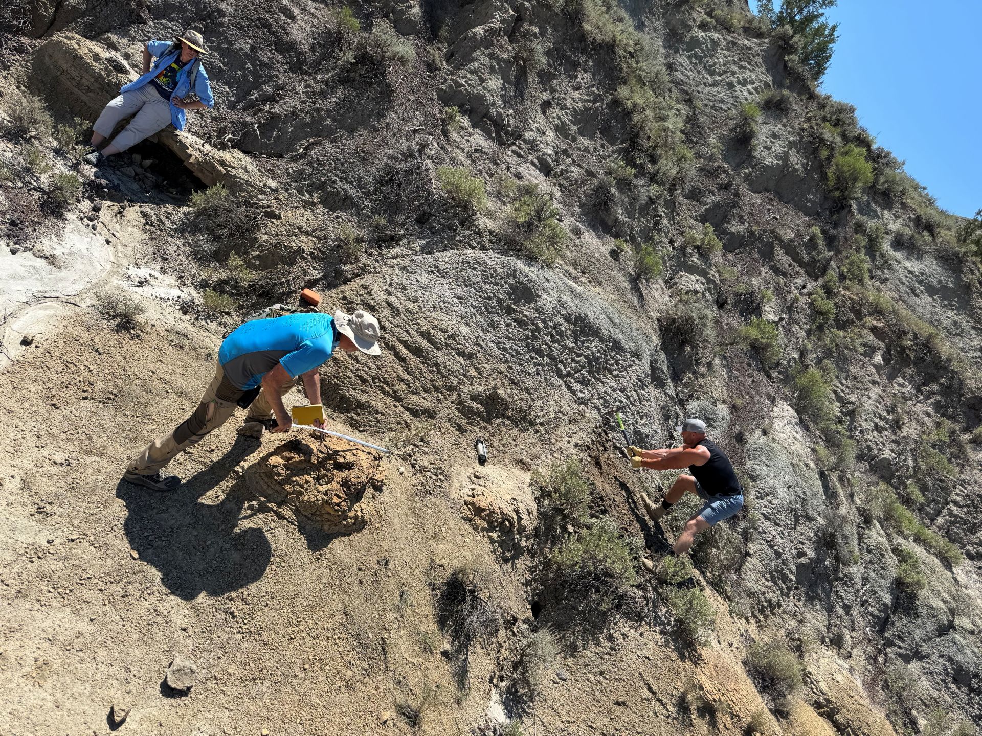 3 people, center man in bright blue shirt and tan hat, excavating and measuring footprints.