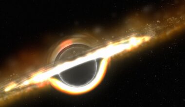 Strange Seeds Appear to Be Growing Into Massive Black Holes