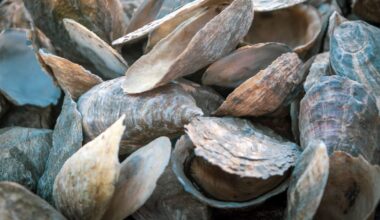 Researchers picked oyster, mussel and cockle shells off Irish beaches, crushed the 3 kinds of shell into grains, and dropped them into water carrying rare earth metals at concentrations similar to badly polluted industrial runoff. The oyster grains took up as much as roughly 1.5 grams of metal for every gram of shell.