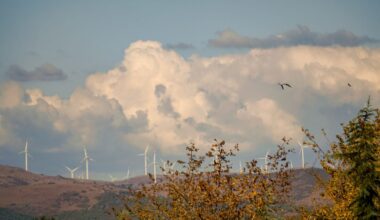 Wind turbines across the United States kill an estimated 234,000 birds a year. Window glass kills about 599 million, which is to say the country's windows account for more dead birds in one day than every turbine standing in it accounts for in seven years.