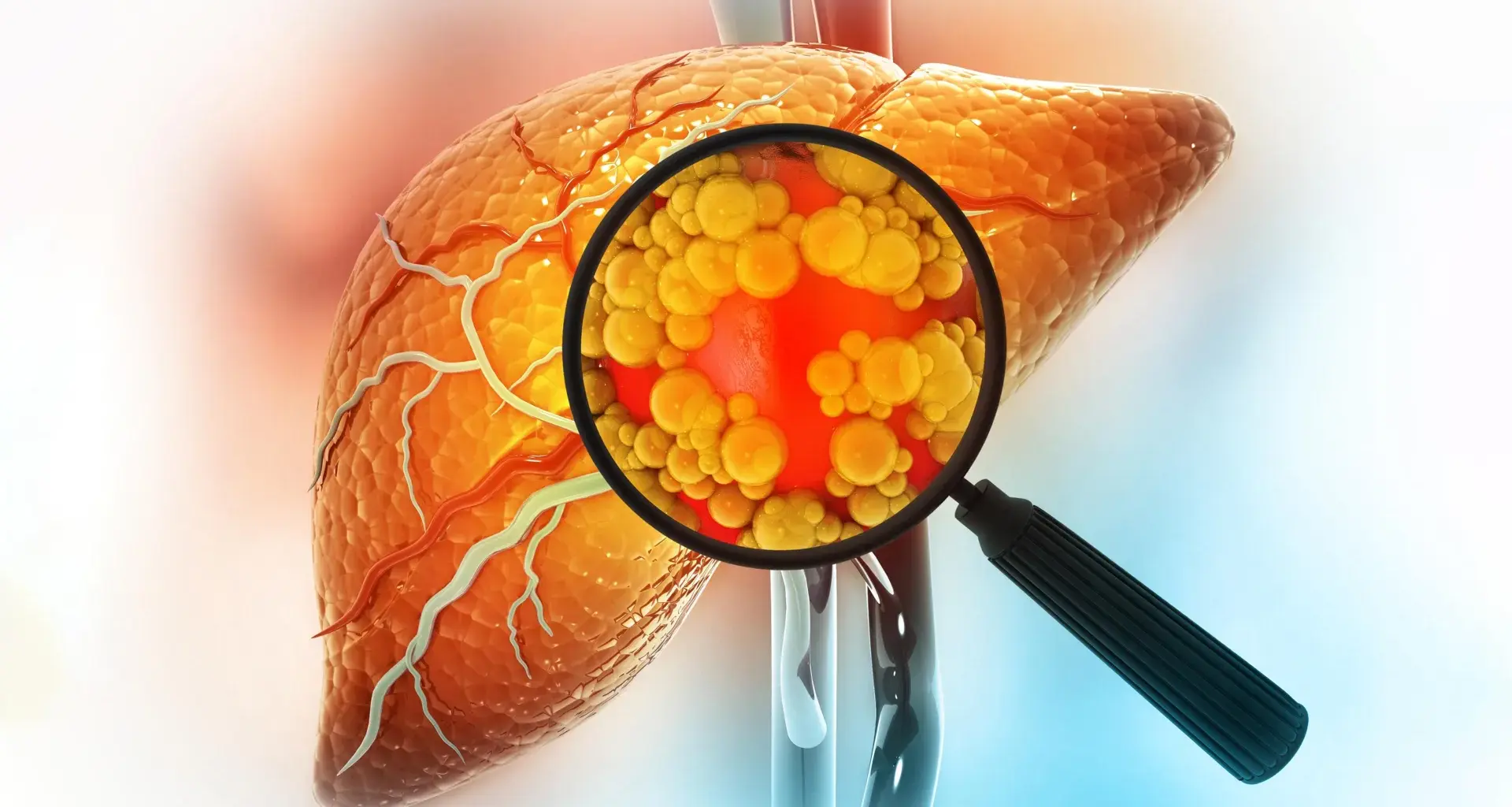 Scientists discover a hidden problem with this popular sugar substitute