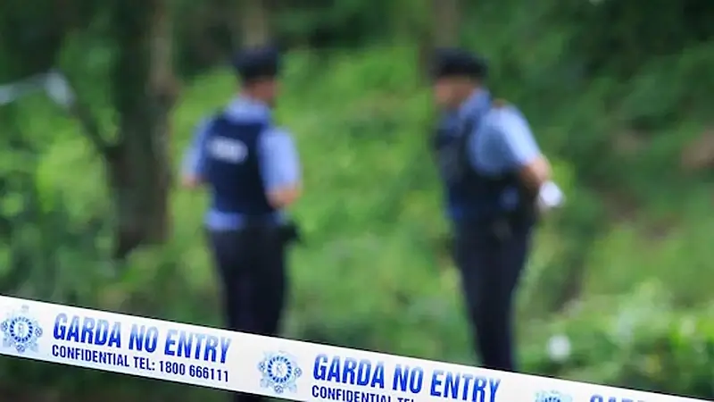 Man (20s) killed in Limerick road tragedy