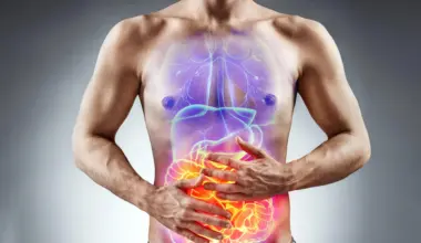Hidden gut defect that may explain why IBD keeps coming back