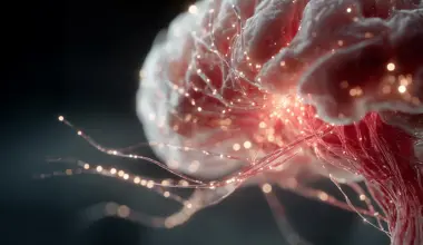 Hidden brain wiring may help keep the mind sharp as gray matter shrinks