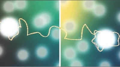 One precisely timed flip may make quantum information safe: Study