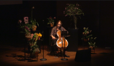 Orchidées - European Premiere | The Journal of Music in Ireland