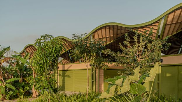 A Mexican forest haven to a Florida dream home: 10 stunning buildings 'blended' with nature