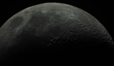 The Moon is airless, radiation-drenched and can swing from about minus 173 to plus 127 degrees Celsius, yet NASA-led modelling found that some common Earth fungi and bacteria—from human skin, soil and damp bathrooms—could survive dormant for weeks or even months in cold, shaded niches near the lunar poles.