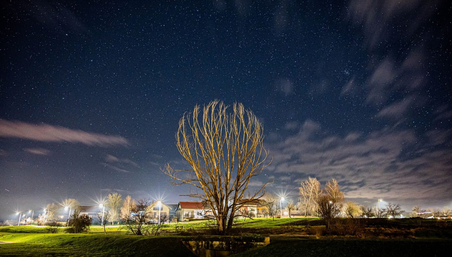 An illuminated park beneath a star-filled night sky, used as a representative image