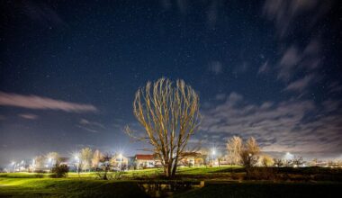 An illuminated park beneath a star-filled night sky, used as a representative image