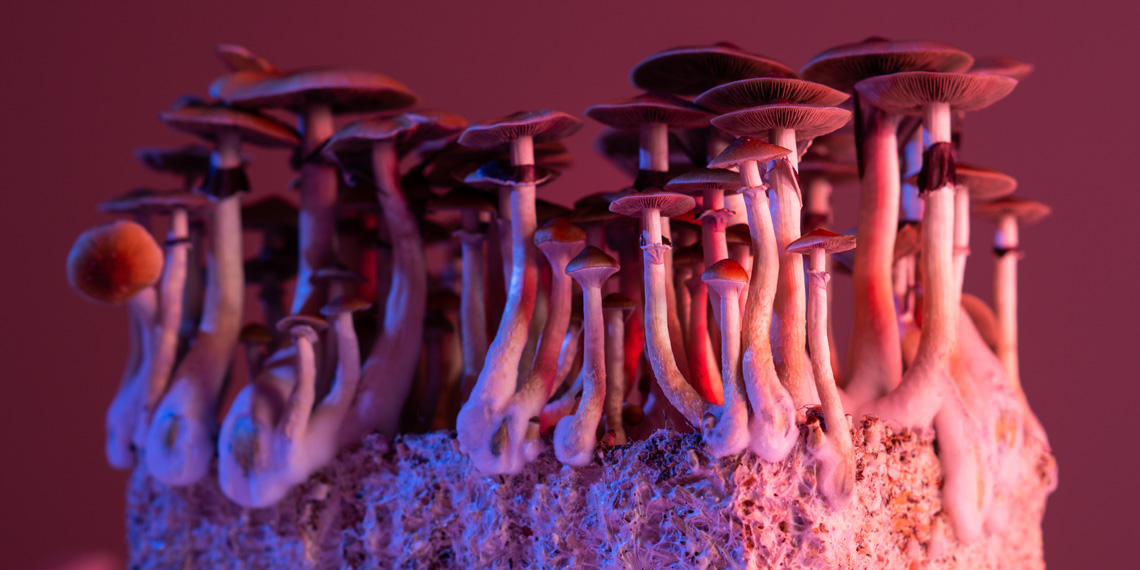 Psilocybin and standard antidepressants both shift the brain away from negative biases