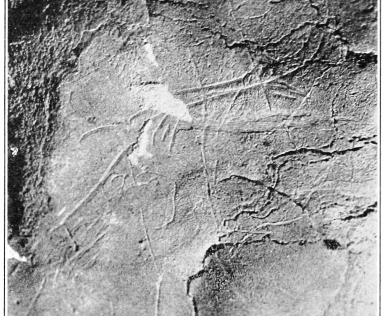 An algorithm-guided survey of eight caves in southwest Ireland found art dated to about 15,000 years ago, pushing known human presence on the island roughly 5,000 years earlier than previously thought