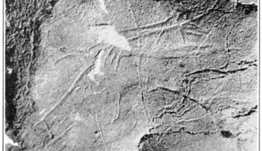 An algorithm-guided survey of eight caves in southwest Ireland found art dated to about 15,000 years ago, pushing known human presence on the island roughly 5,000 years earlier than previously thought