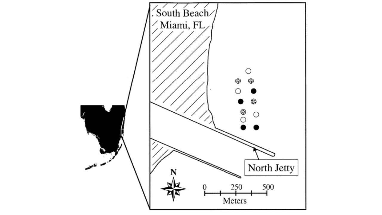 Boulder reefs aredepicted by filled circles, concrete-gravel reefs by patterned circles, andconcrete-tire reefs by open circles. Reef assemblage