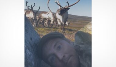 Photographer Hides Behind Rock as Herd of 400 Wild Reindeer Comes Charging at Him