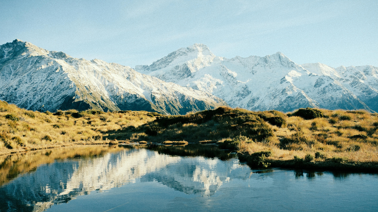 Removing the animals allowed native vegetation to recover (Image: Canva)<br>