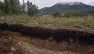 Scientists defend older dating of Monte Verde site in Chile