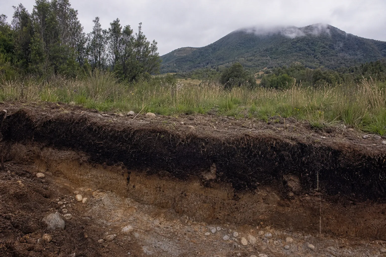 Scientists defend older dating of Monte Verde site in Chile