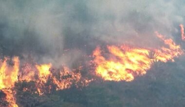 Central Colombia forest fire threatens tourist town of Villa de Leyva | Climate Crisis News