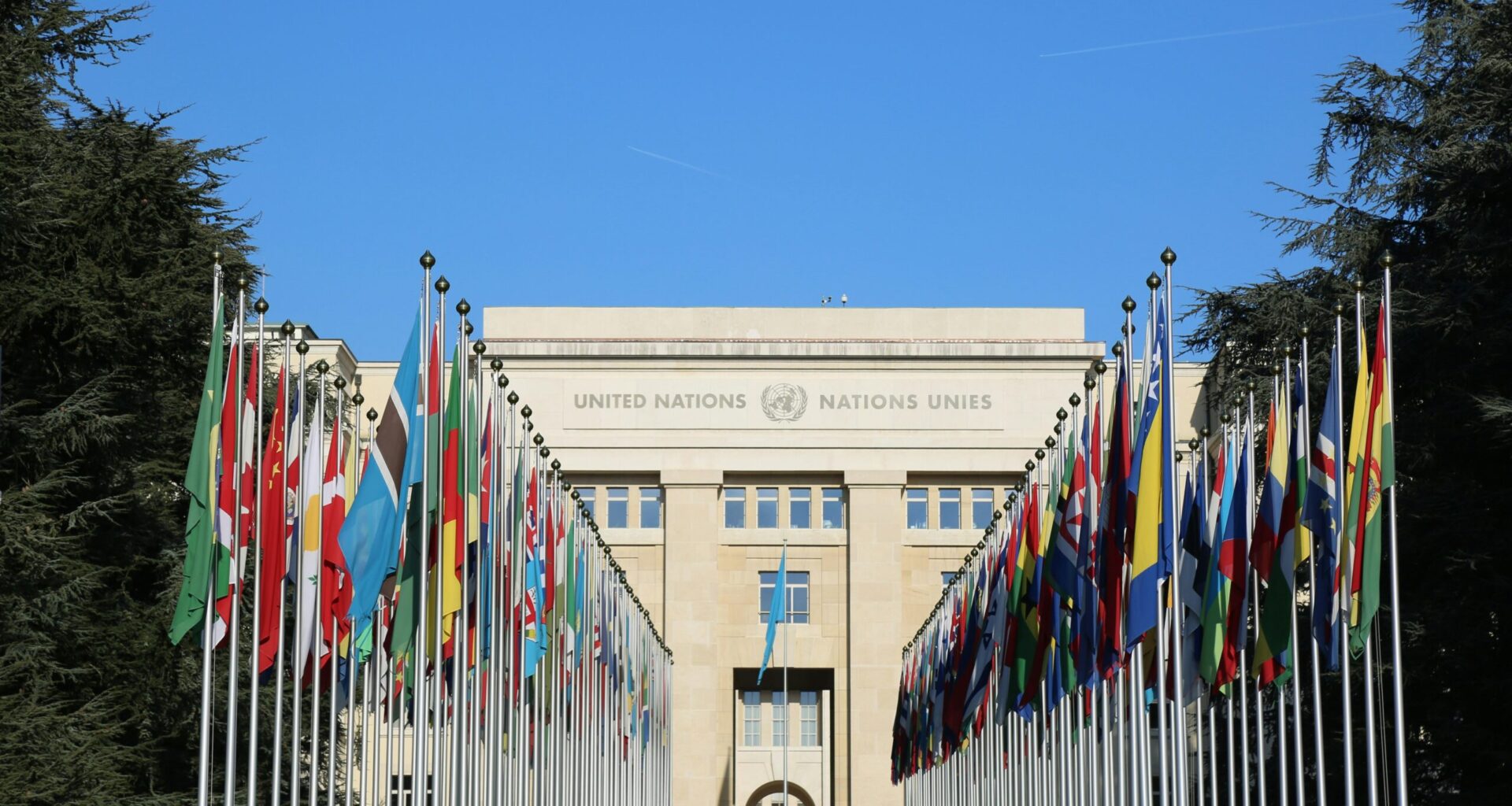 Catholic orgs tell UN about Irish State education discrimination