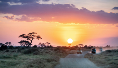 For more than a decade, 225 motion-triggered cameras strapped to trees across the Serengeti have fired day and night, and the millions of photographs they produced were sorted one by one by hundreds of thousands of volunteers who had never set foot in Tanzania