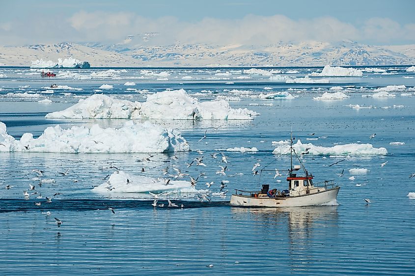 Sea ice covering a stretch of the Arctic Ocean.