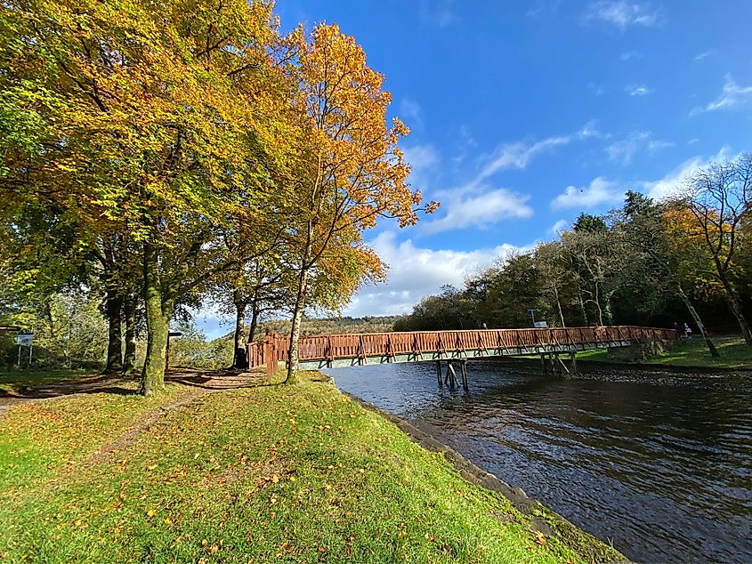 Sunny Killykeen forest park on a autumn day, Co Cavan, Ireland. 