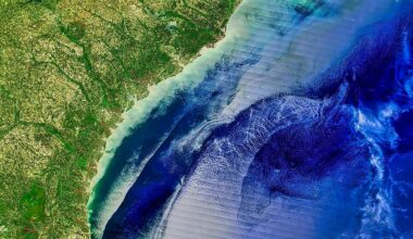 What Would Happen If The Gulf Stream Stopped