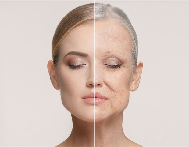 Eight-year study reveals how molecular aging scripts differ individually