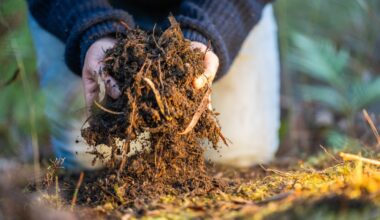 Regenerative bioeconomy systems: Reimagining how society makes, uses and renews resources