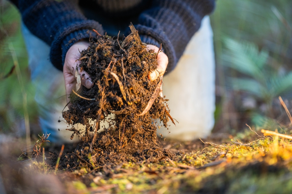 Regenerative bioeconomy systems: Reimagining how society makes, uses and renews resources