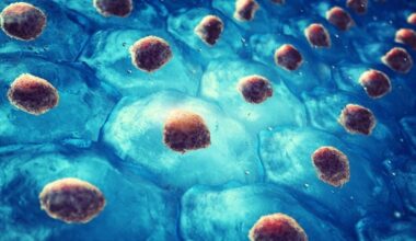 Crucial brain stem cells rely on metabolic pathways to make decisions