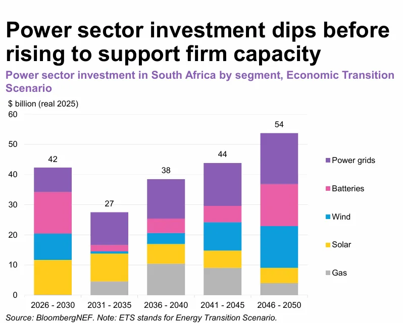 South African Investment Dips