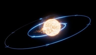 When Stars Engulf Rocky Planets, Beryllium Gives It Away