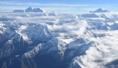 Ancient Himalayan-scale Mountains in Antarctica May Have Helped Gondwana Set Off the Explosion of Animal Life