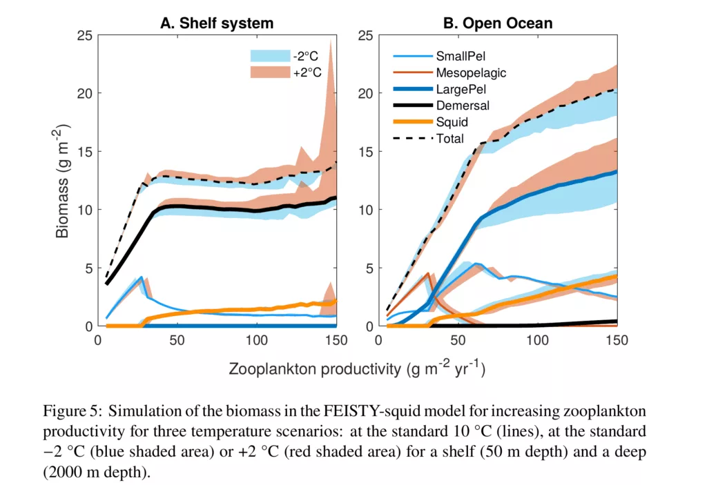 Simulation of the biomass in the FEISTY-squid model for increasing zooplankton productivity for three temperature scenarios: at the standard 10 °C (lines), at the standard −2 °C (blue shaded area) or +2 °C (red shaded area) for a shelf (50 m depth) and a deep (2000 m depth)