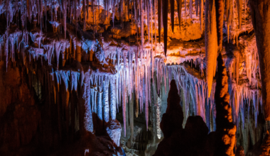 The stalactites in some of the world's most visited show caves are being slowly killed by the breath of the tourists who come to see them, because the carbon dioxide and moisture from millions of exhalations changes the air chemistry enough to corrode the very formations people paid to admire.