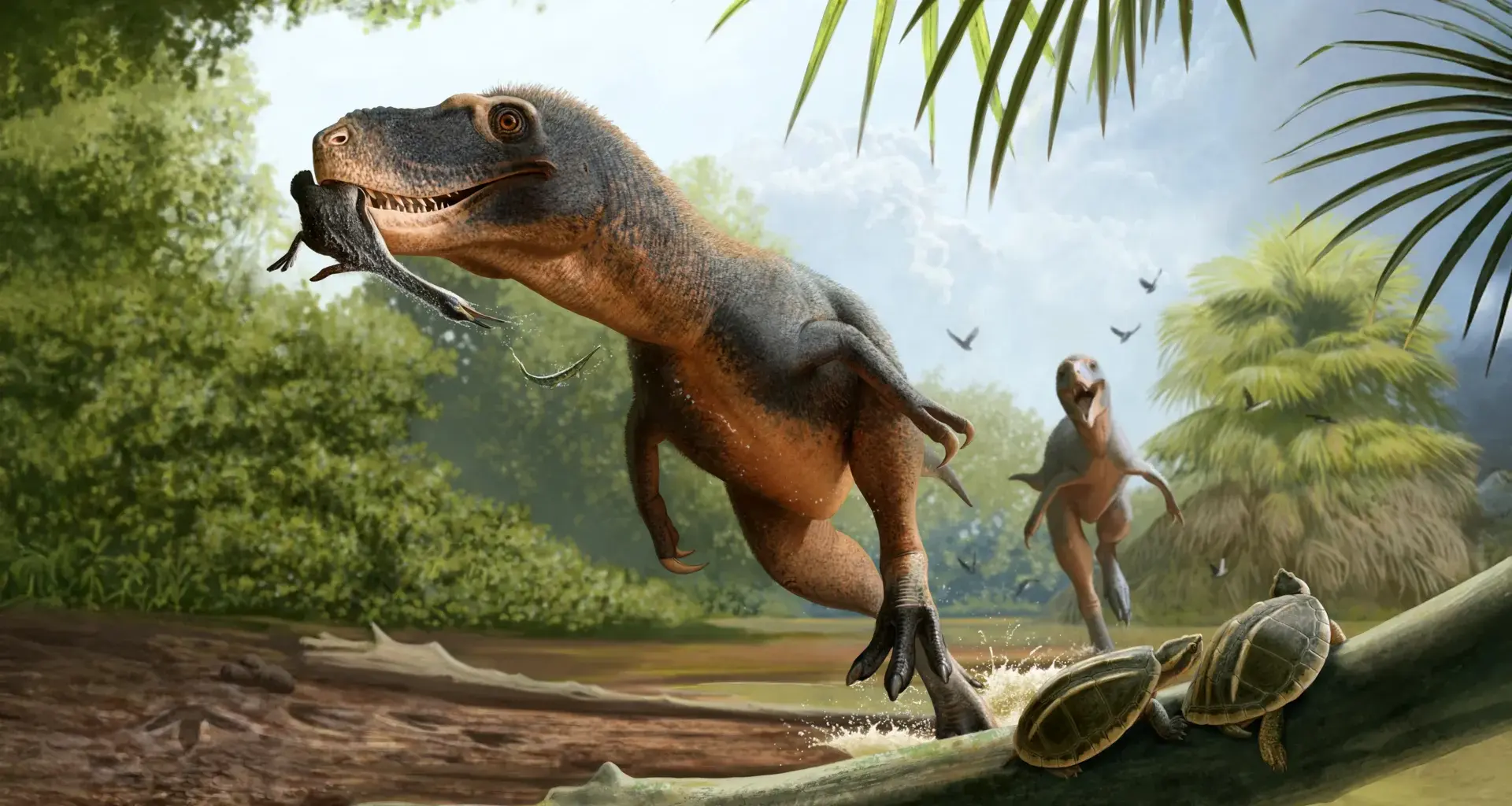 66-million-year-old feather in dinosaur poop may reveal why birds survived the asteroid
