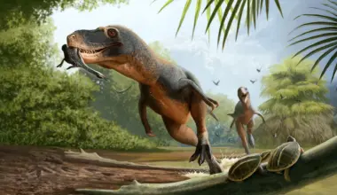 66-million-year-old feather in dinosaur poop may reveal why birds survived the asteroid