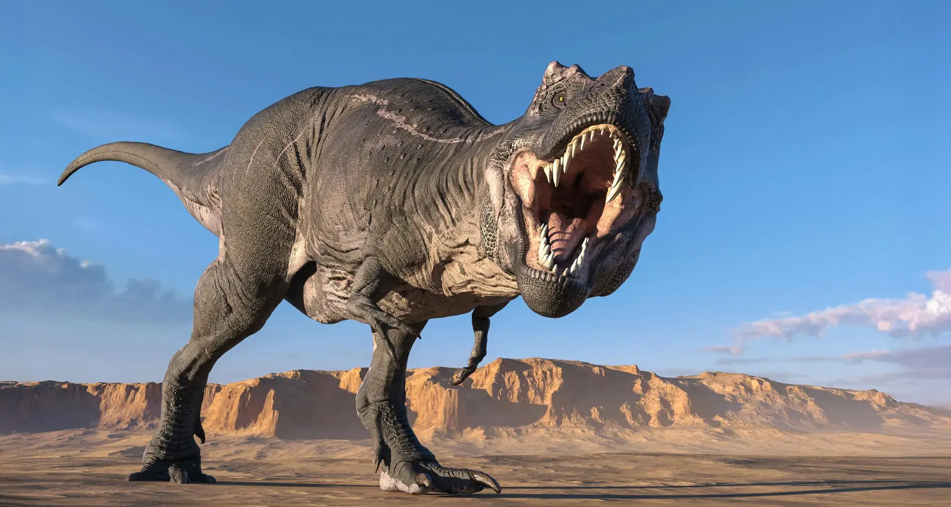 A 66-million-year-old tooth reveals T. rex was nearly as warm as a human