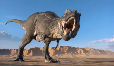 A 66-million-year-old tooth reveals T. rex was nearly as warm as a human