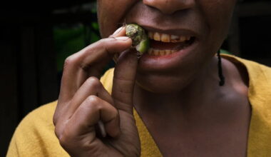 Ancient teeth pose a mystery. The answer might be betel nuts : NPR