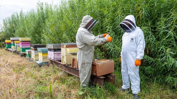 Leahy Beekeeping Bee Farm