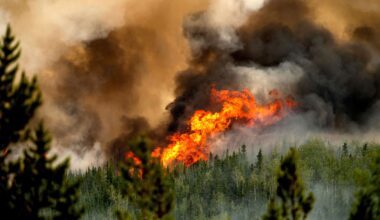 Ozone worsens other deadly health effects of globally generated wildfires