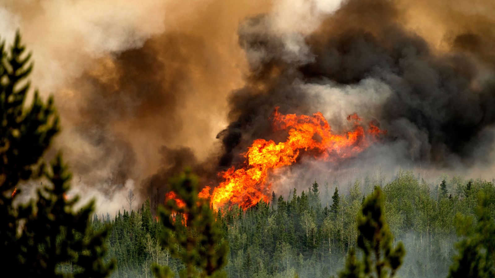 Ozone worsens other deadly health effects of globally generated wildfires