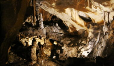 Ancient DNA shows Ice Age Europeans stayed connected across long distances